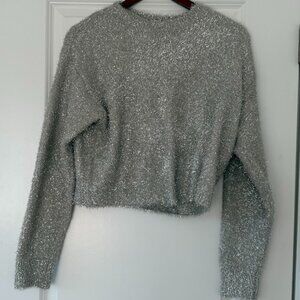 Z Supply Silver Sweatshirt